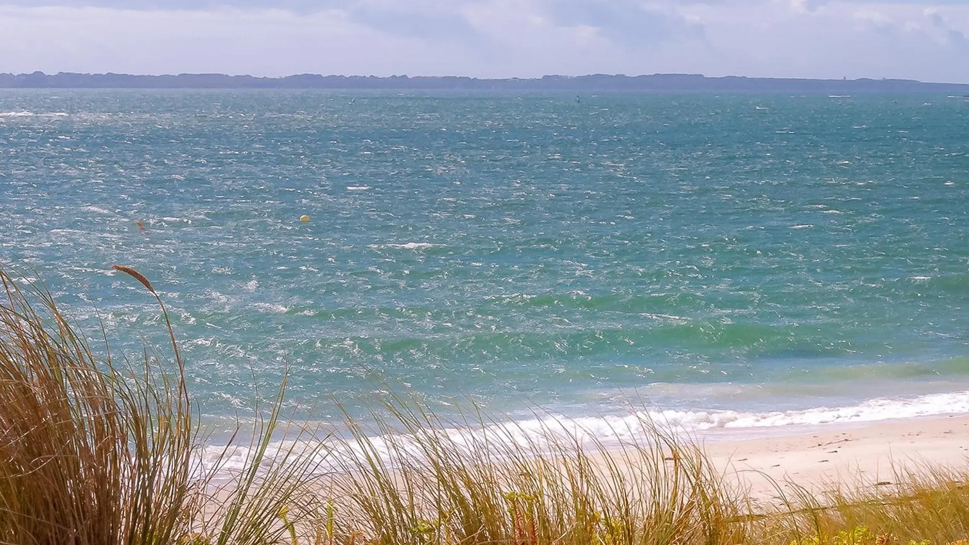 Studio Renove Avec Balcon Vue Mer, Wifi, Proche Plage Et Commerces - 2 Pers - Fr-1-349-148 Ploemeur